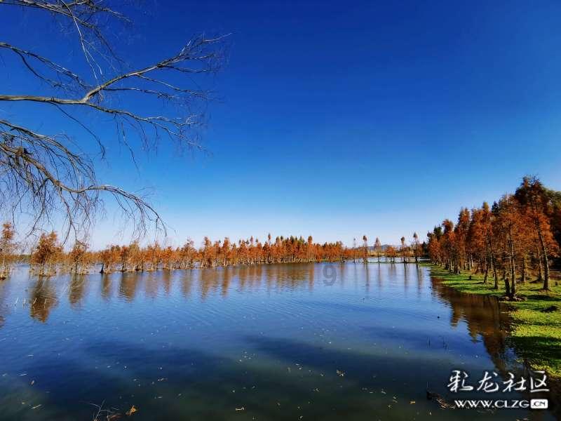 INNEST意巢设计：最近刚落地的度假风叠墅项目