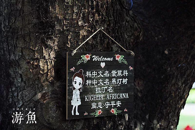救援可怜的穴居人