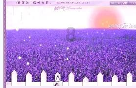 豪华别墅找不同