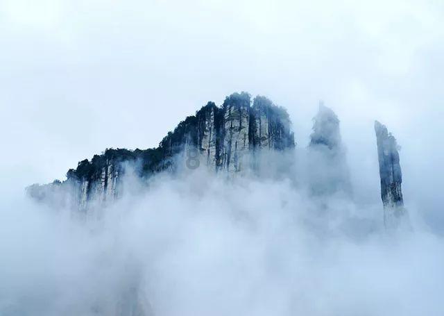 小脑萎缩能活多久