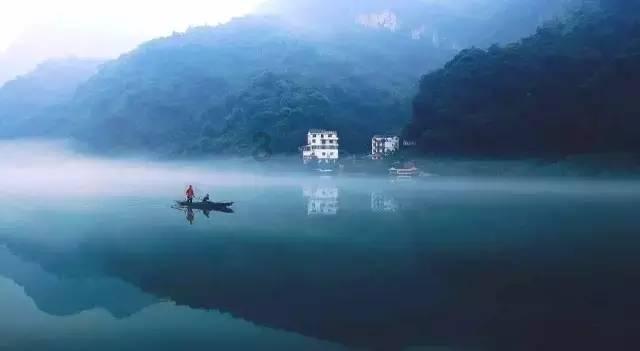 放飞笼中鸟