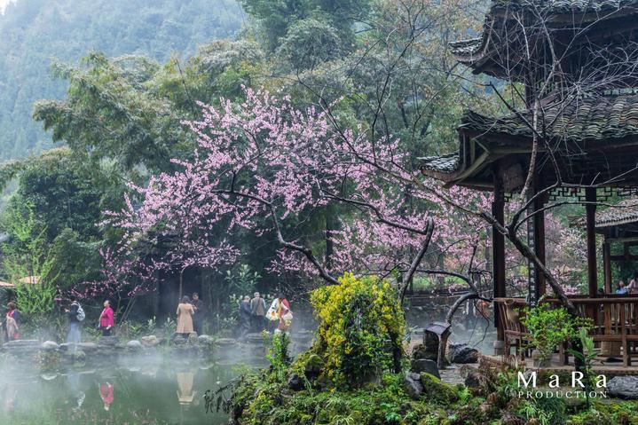 抖音为什么搜不到别人的抖音号？游戏画面