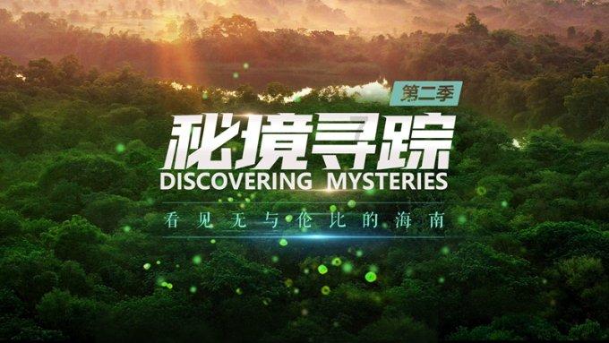 逃离金色的沙漠