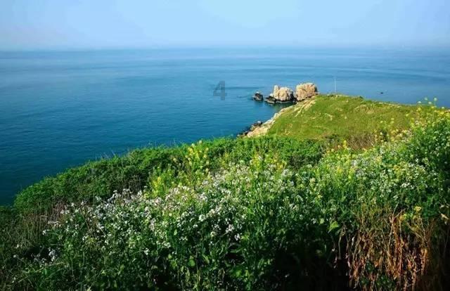 宝可梦探险寻宝