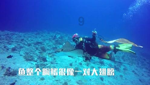 铠甲勇士双人冒险2无敌版