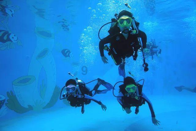 探索刚换的净水器的滤芯出不上来水是怎么回事?,发现新知识之旅