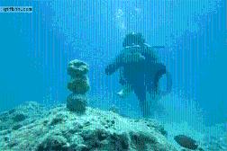 静谧飞行