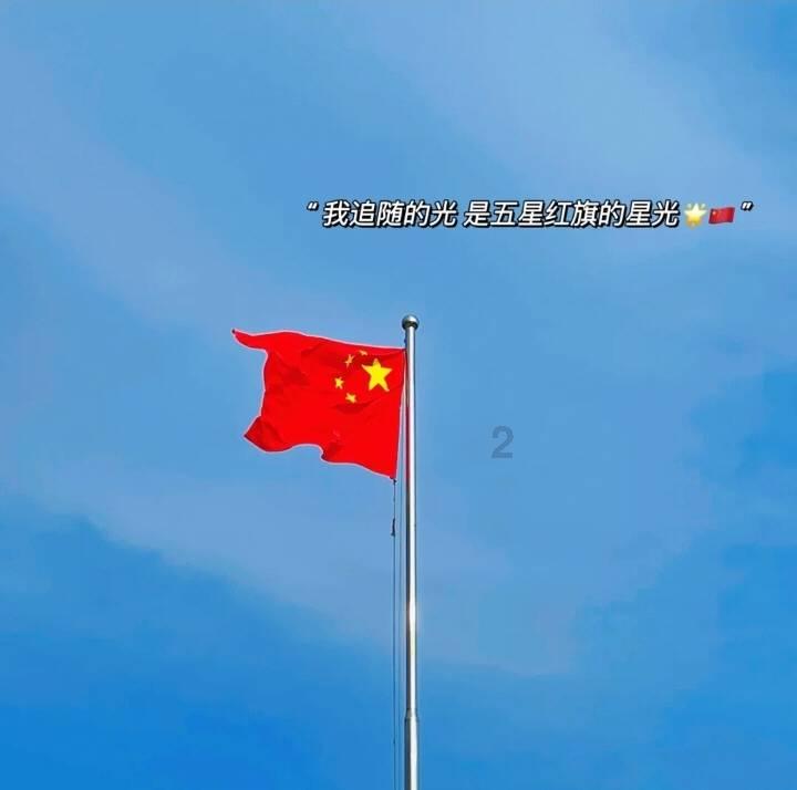 森林的奇迹