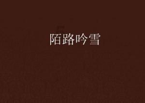 老爹寿司店中文版