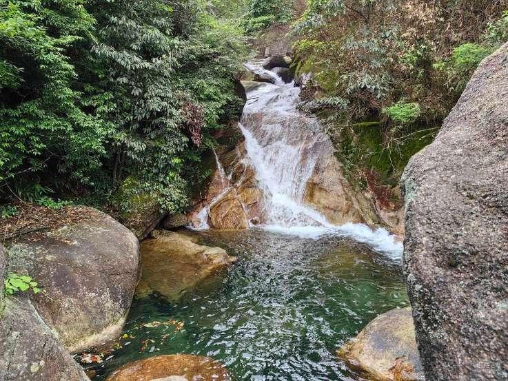 1L色拉油双头液体定量包装机