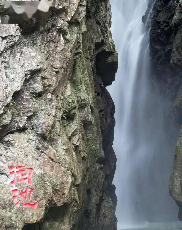 精灵的故事