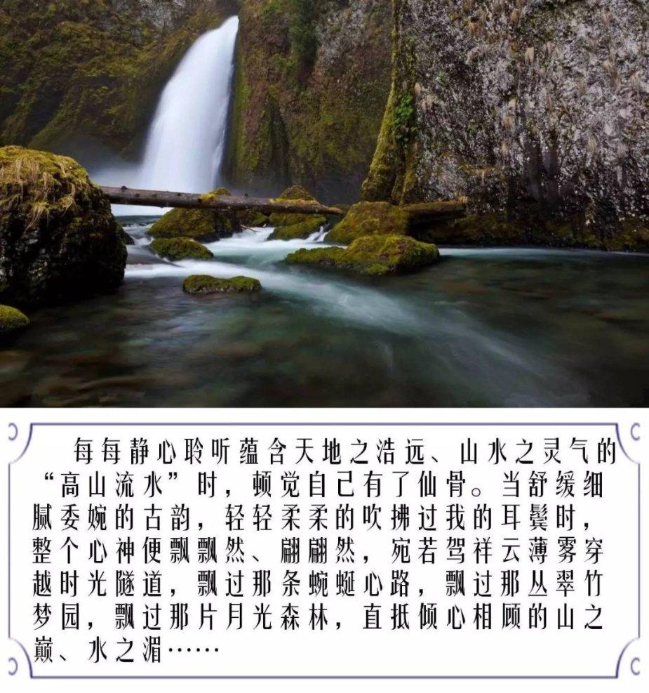 行尸走肉：最终季