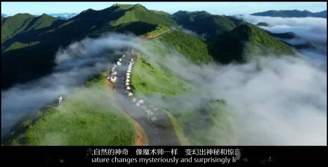 小猫钓鱼开船版最新版下载