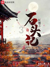 未知的岛屿