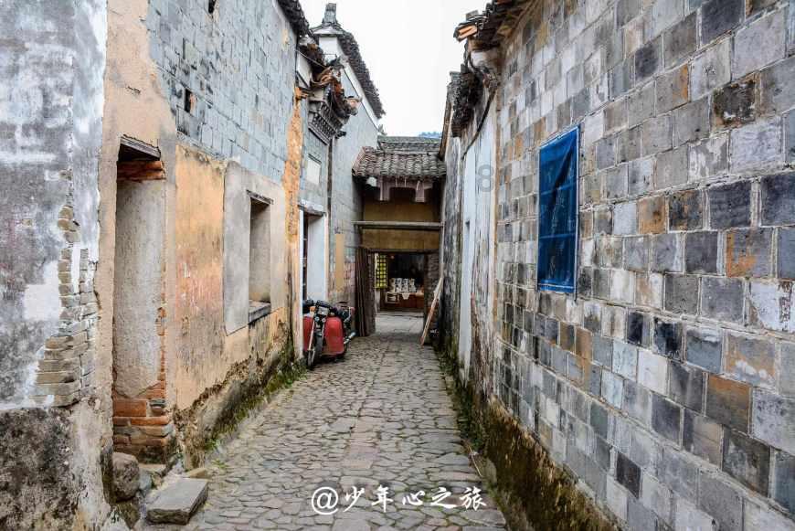 来自印度的狗妈妈和狗宝宝被救助感人的故事