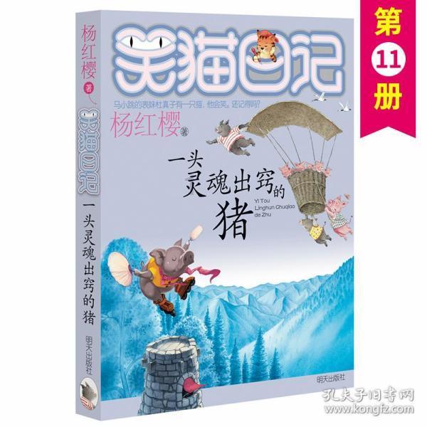 可爱猫咪救援