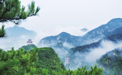 为什么登记完核酸检测不出二维码呢？游戏画面