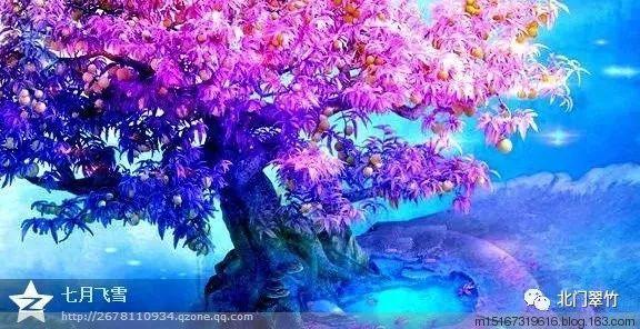 失落的星球3